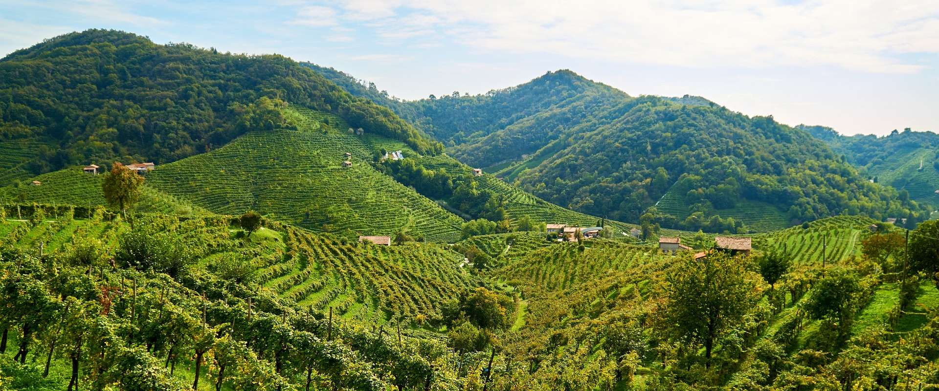 La Strada del Prosecco